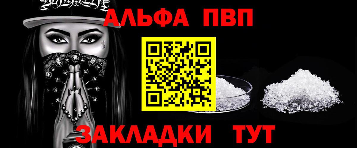 A PVP СК КРИС Саратов