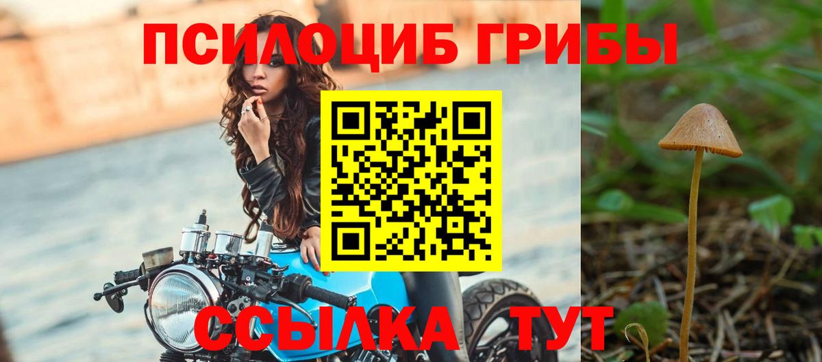 Галлюциногенные грибы GOLDEN TEACHER Саратов